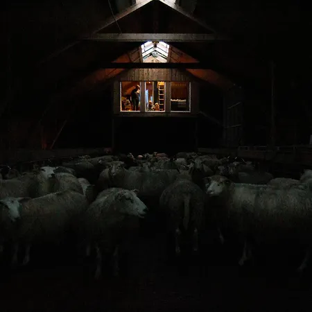 Apartament Unik Fjosleilighet Levanger