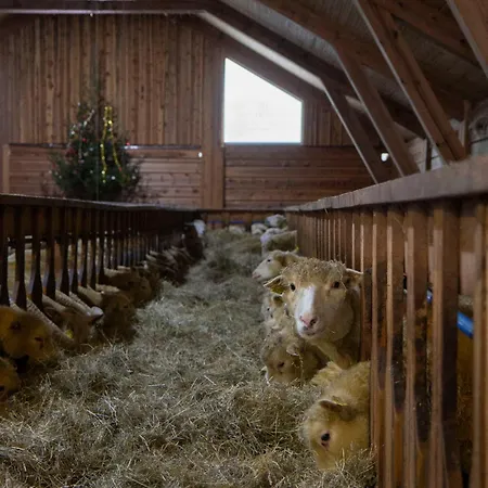 Unik Fjosleilighet Levanger