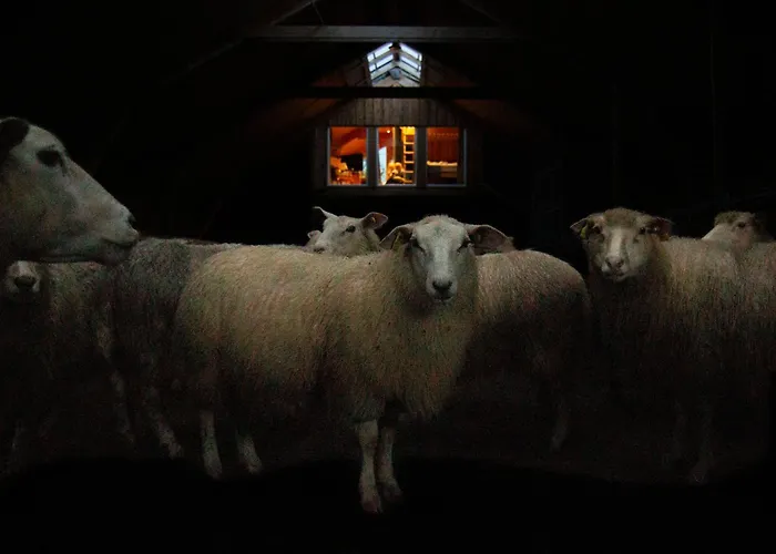 Appartement Unik Fjosleilighet *