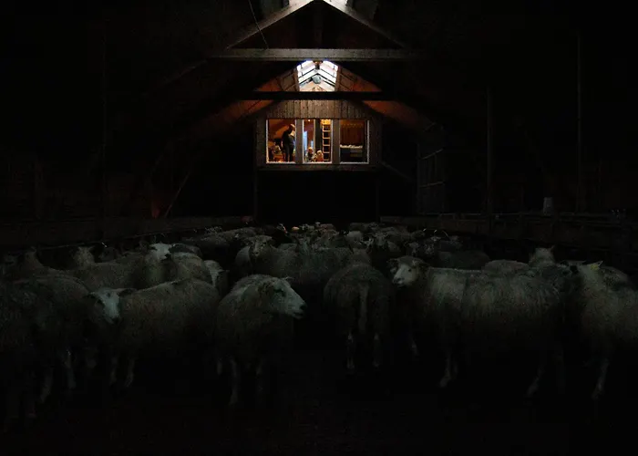 Apartment Unik Fjosleilighet Levanger